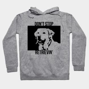 Don't Stop Retrieving Funny Golden Retriever Owner Hoodie